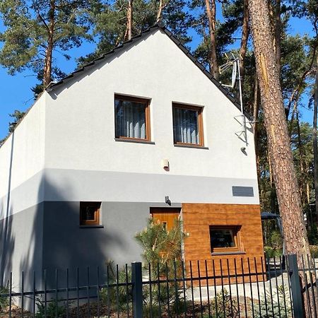 Вілла Grey House Бошково Екстер'єр фото
